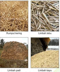 kompor biomas